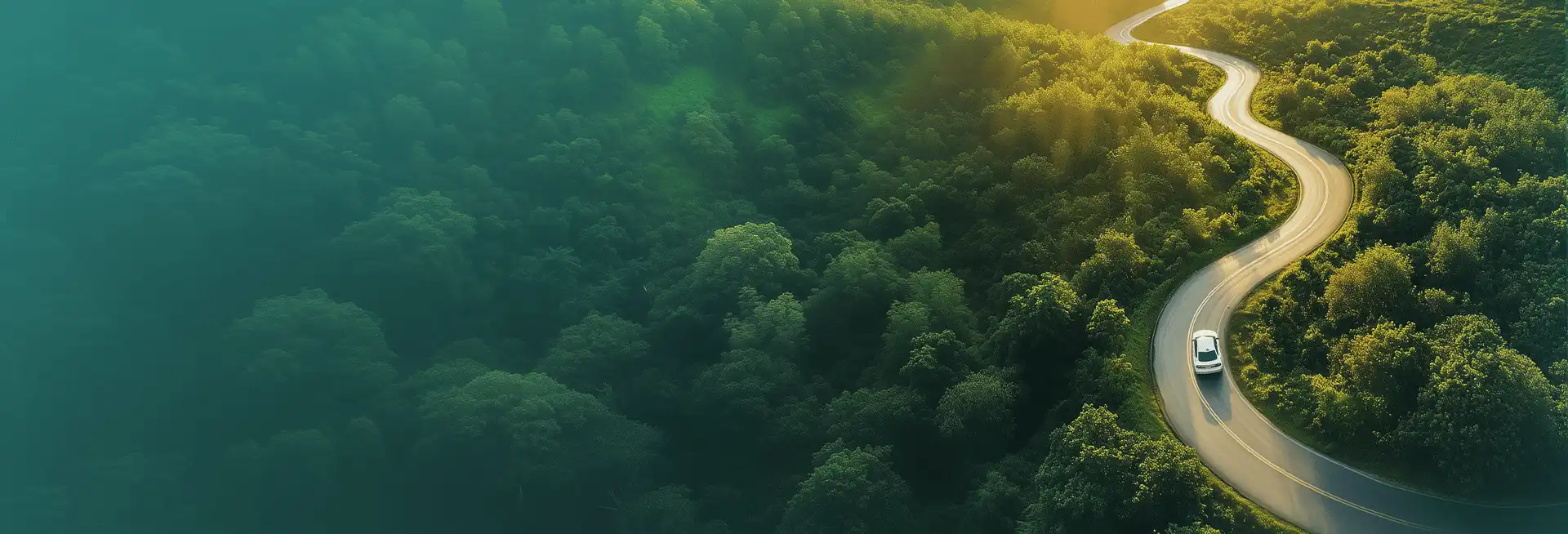 Movly car rental hero banner